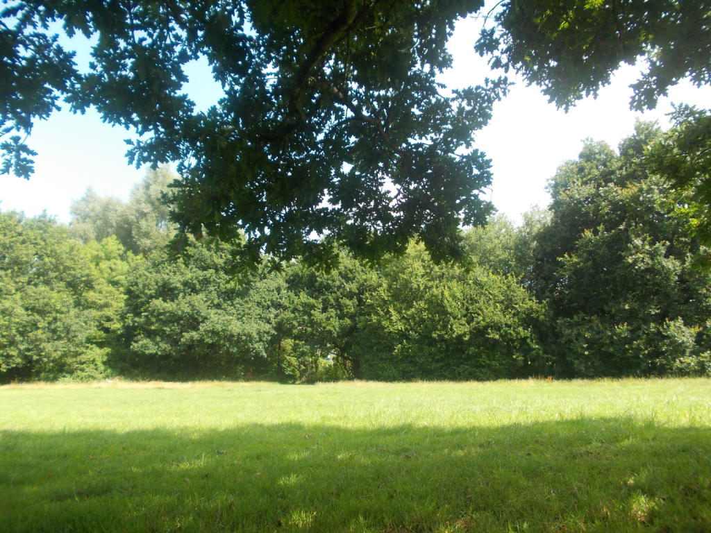 What’s My Age Again?: On Being Home for&nbsp;Summer