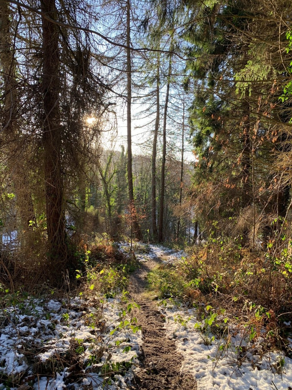 Ten Albums for the Cosy&nbsp;Season