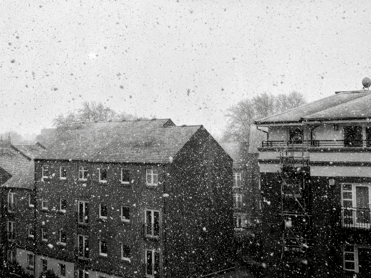 All My Friends Want to be Strong: A Guide to Keeping Winter for&nbsp;Yourself